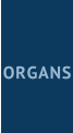 ORGANS