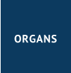 ORGANS
